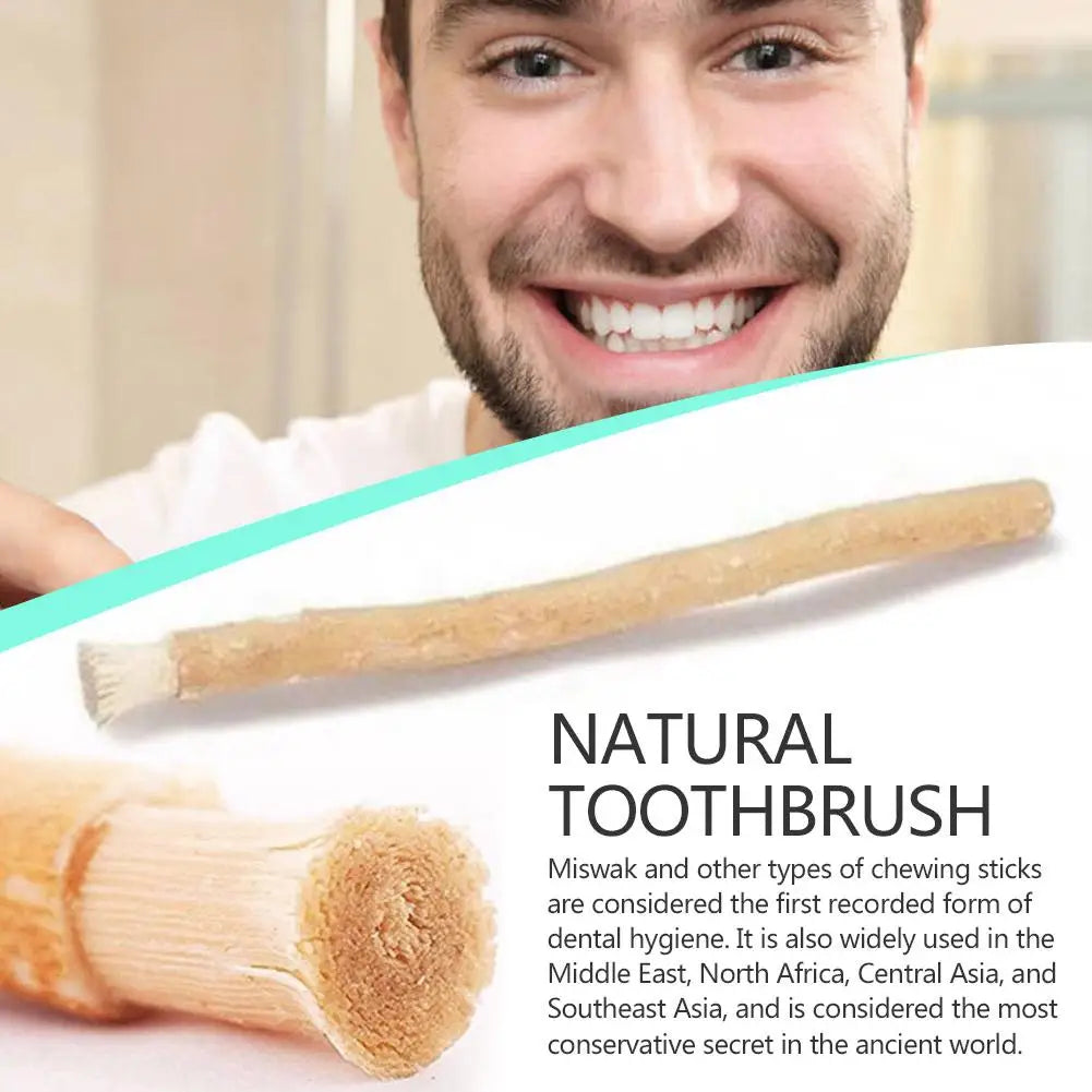 1 pack Portable Miswak Siwak Natural Toothbrush Misvak Toothbrush Arak Traditional Manual Whitener Teeth Travel new Miswaak N6W4
